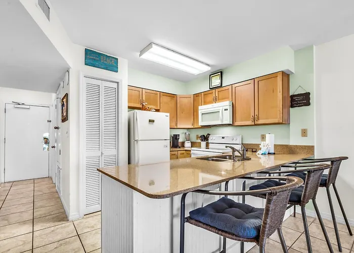 6504 Plantation-palms *